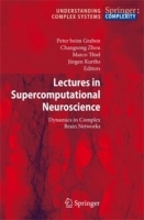 Lectures in Supercomputational Neuroscience: Dynamics in Complex Brain Networks артикул 11806b.